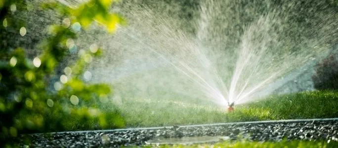 Inspecting Your Lawn Sprinkler