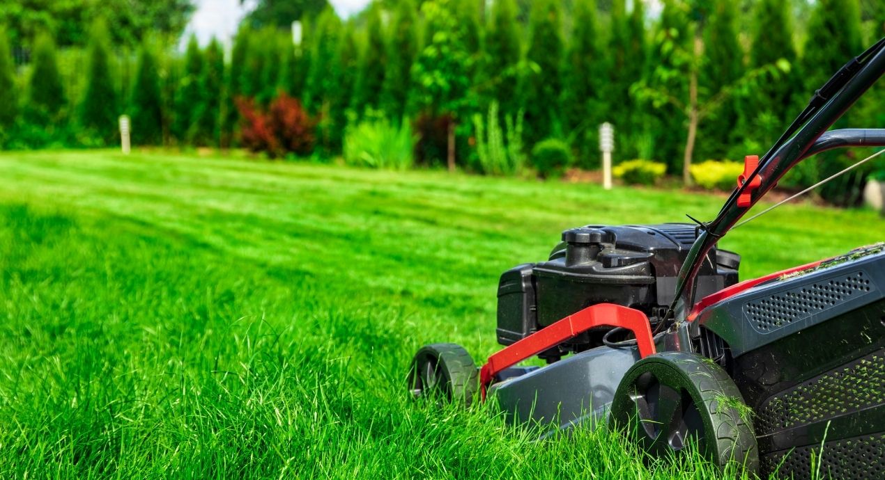 Tips for Maintaining Your Lawn During the Summer