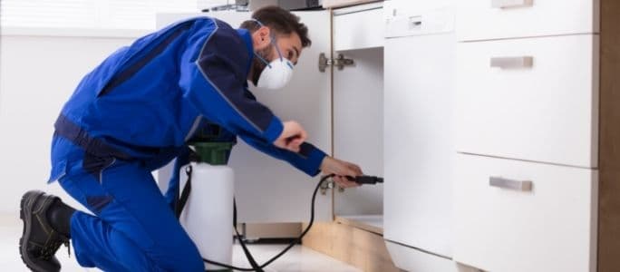 Pest Control Coverage: How to Keep Bugs Out of Your House Pest Control Coverage: How to Keep Bugs Out of Your House