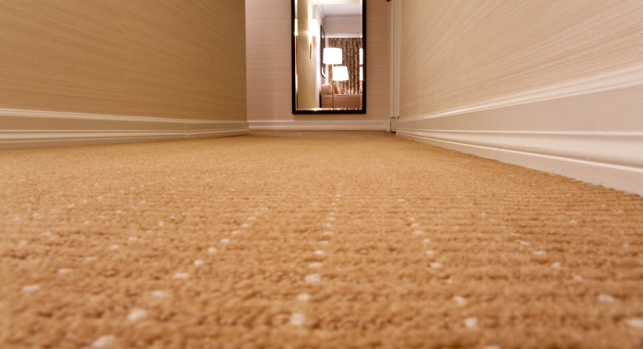 Common Carpet Issues & Solutions to Keep Your Carpet Looking Always Great