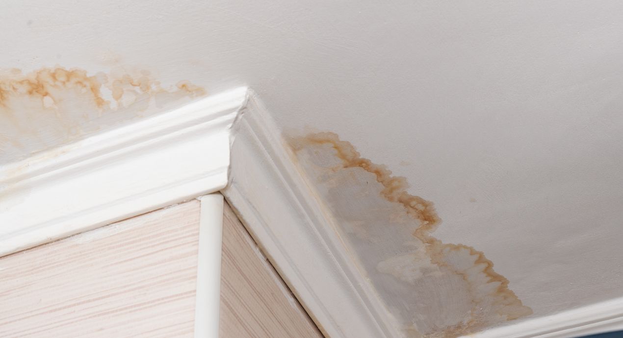 Water Stains on Ceiling? Here's How to Remove and Prevent