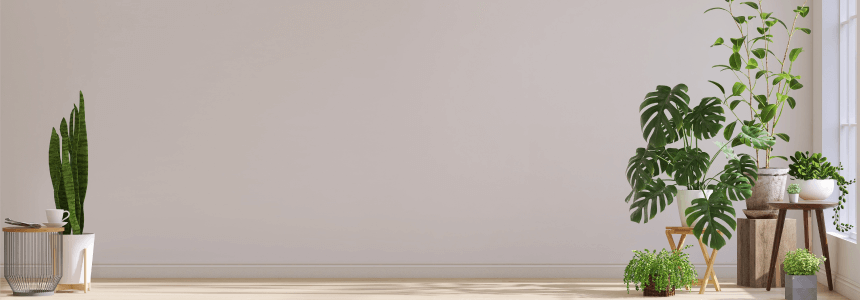 How to Purify Air at Home