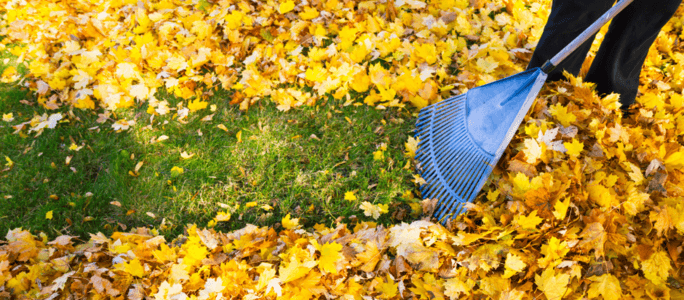 Autumn Home Maintenance Checklist to Get Your Home Ready Autumn Home Maintenance Checklist