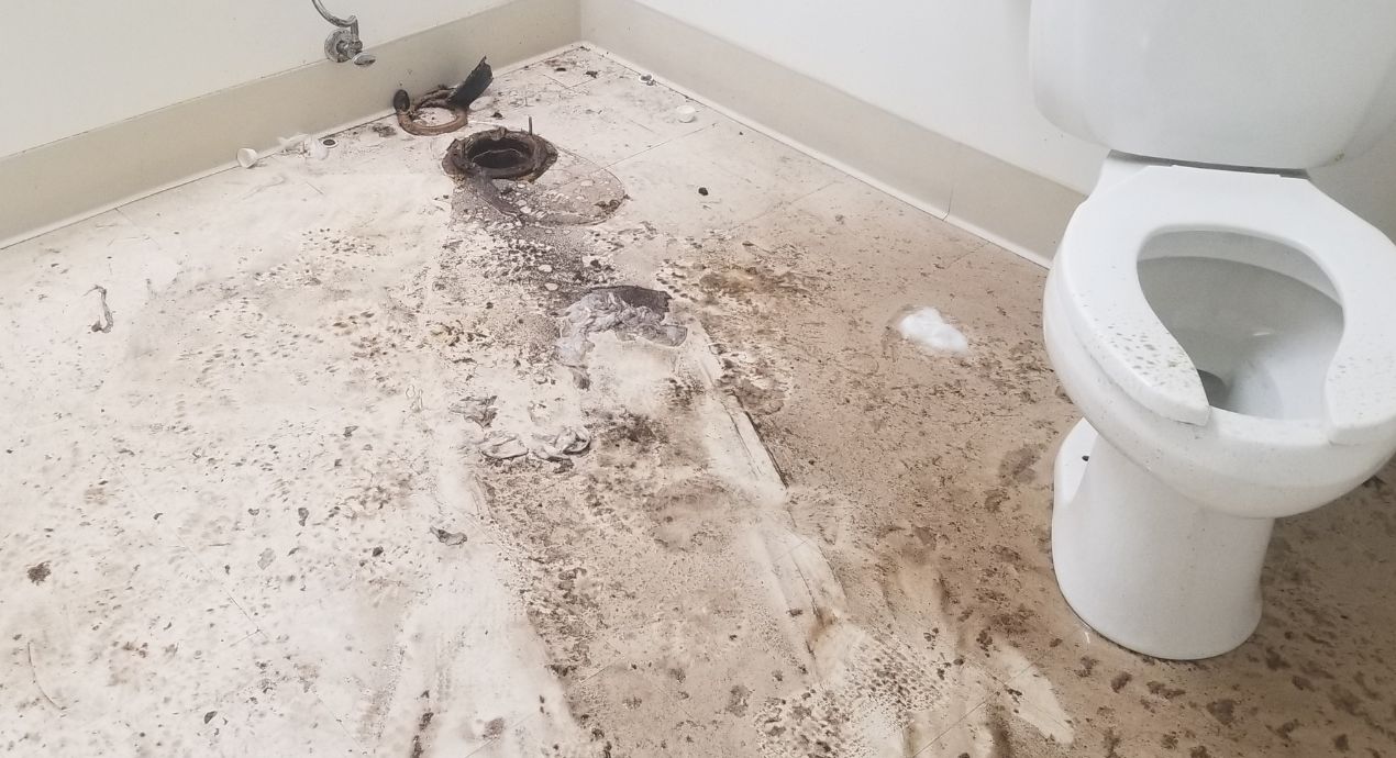 Why is my Toilet and Shower Clogged Up?