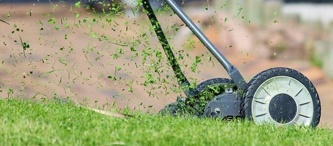 Tips for Maintaining Your Lawn During the Summer