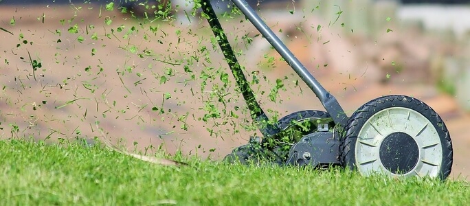 5 Tips for Maintaining Your Lawn During the Summer Tips for Maintaining Your Lawn During the Summer