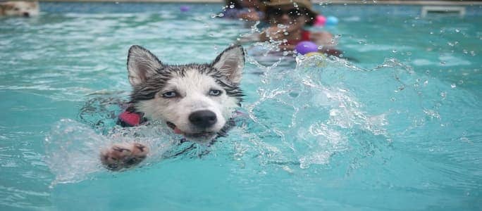 What to Do When You Reopen Your Pool How to Reopen a Swimming Pool