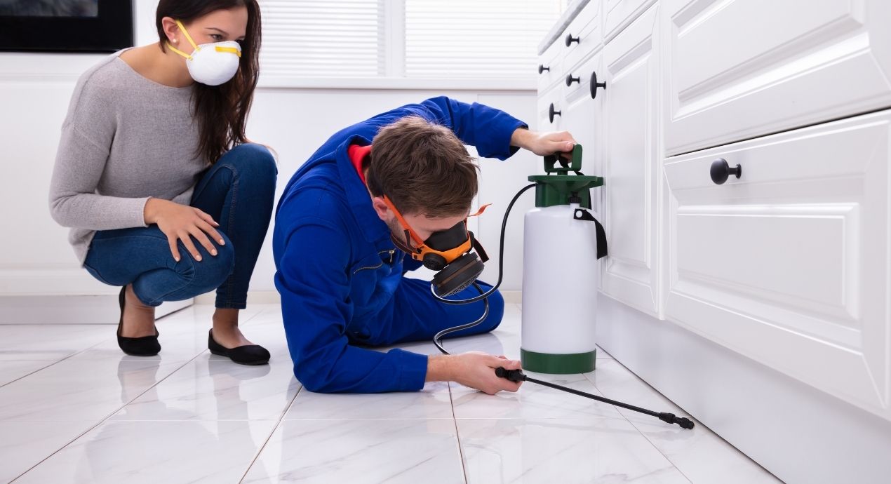 Pest Control Coverage: How to Keep Bugs Out of Your House