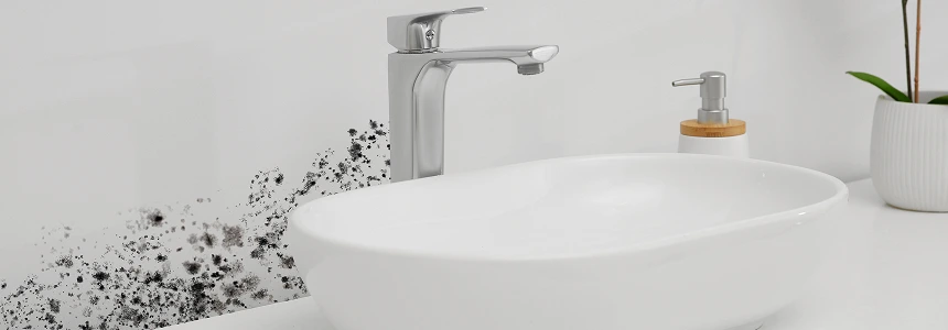 black mold in bathrom