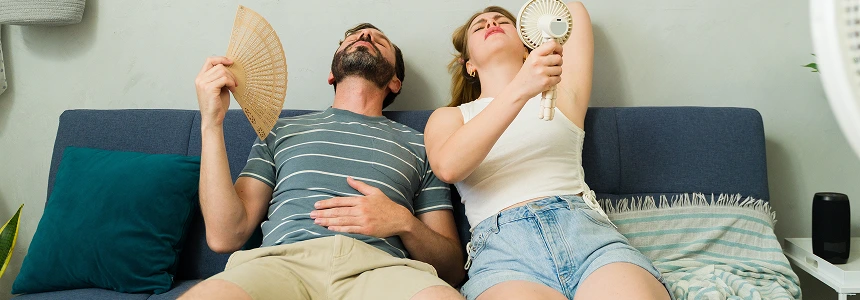 Ideal Indoor Humidity Levels: What Every Homeowner Needs to Know Ideal Indoor Humidity Levels
