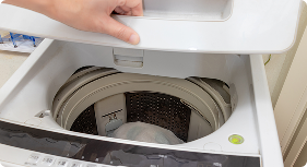 Check the Lid/Door Switch