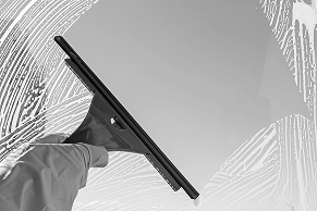 Window Washing/Cleaning