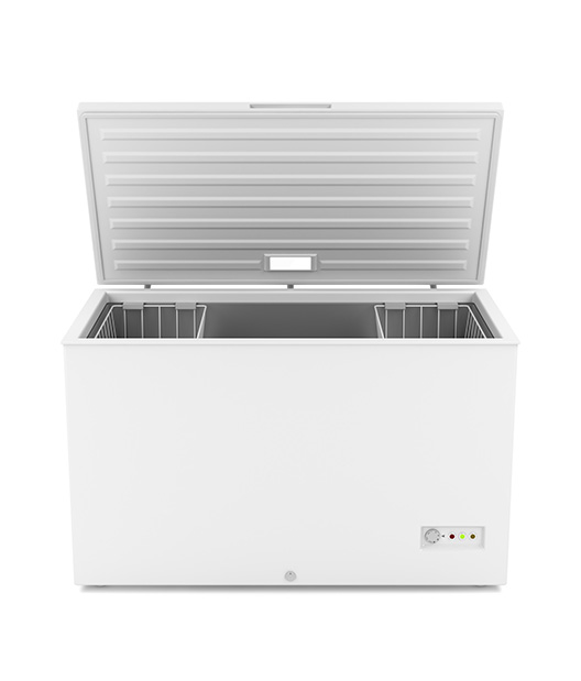 STAND ALONE FREEZER (1 YR WARRANTY)